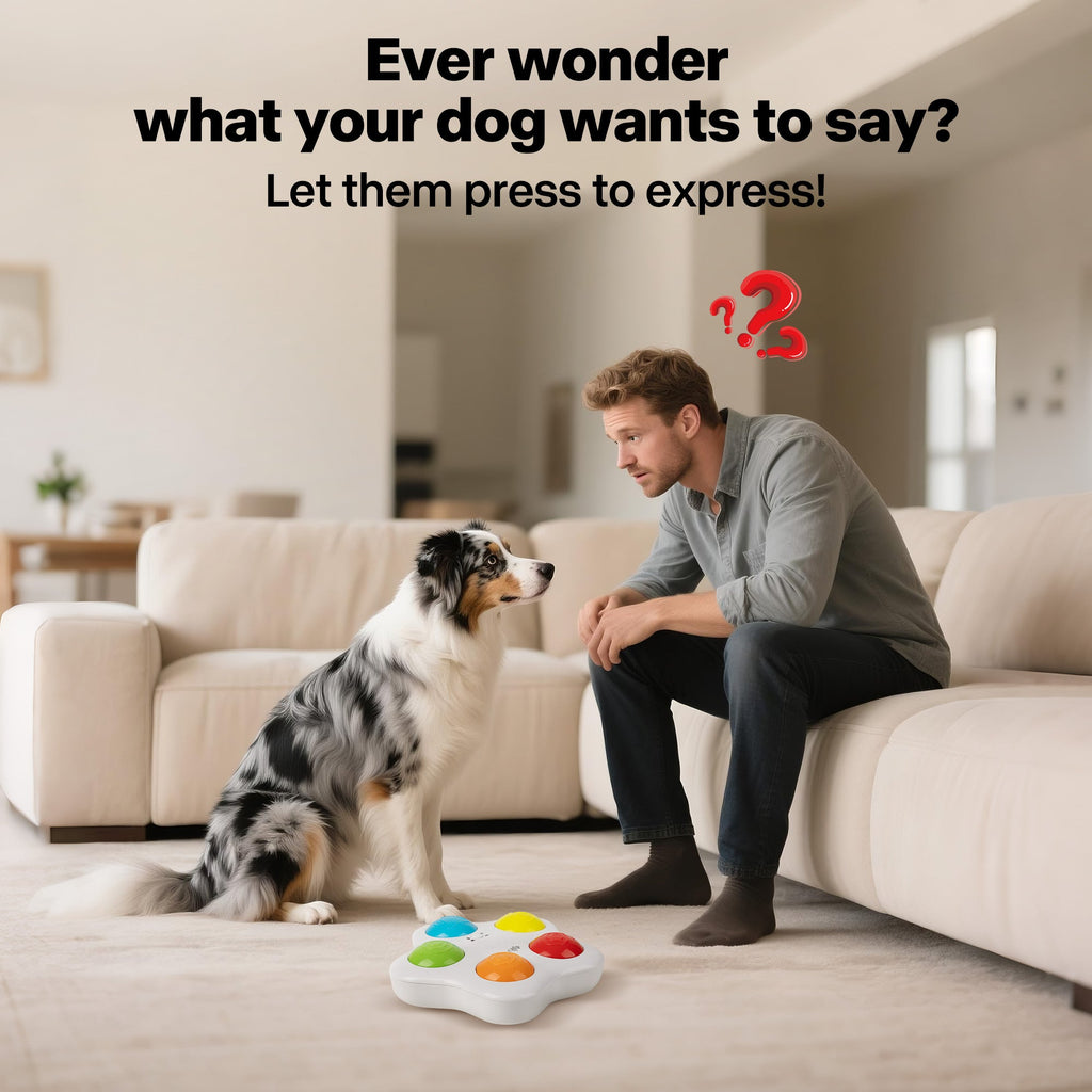 Interactive Toys