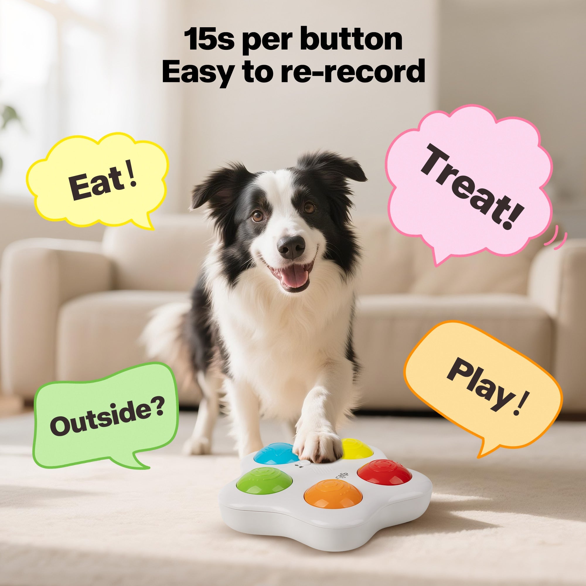 Interactive Toys