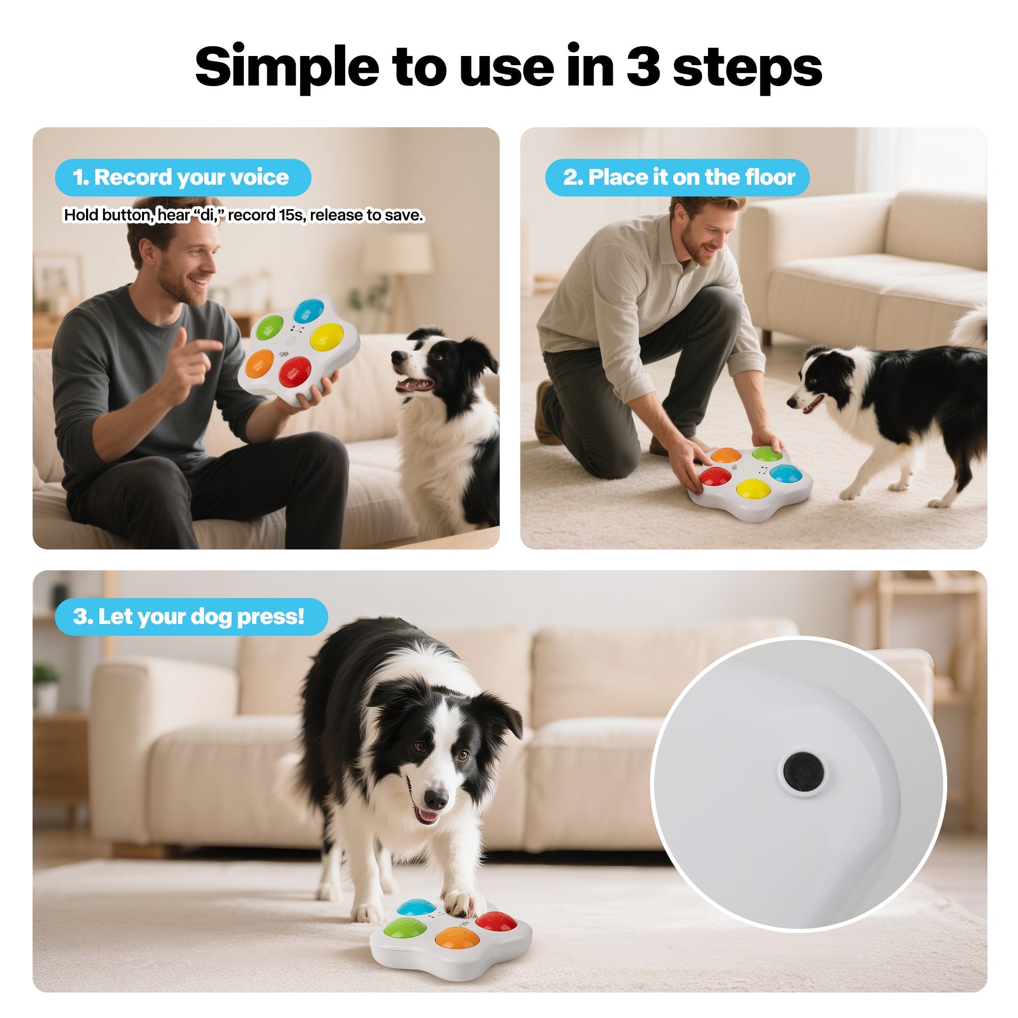 Interactive Toys