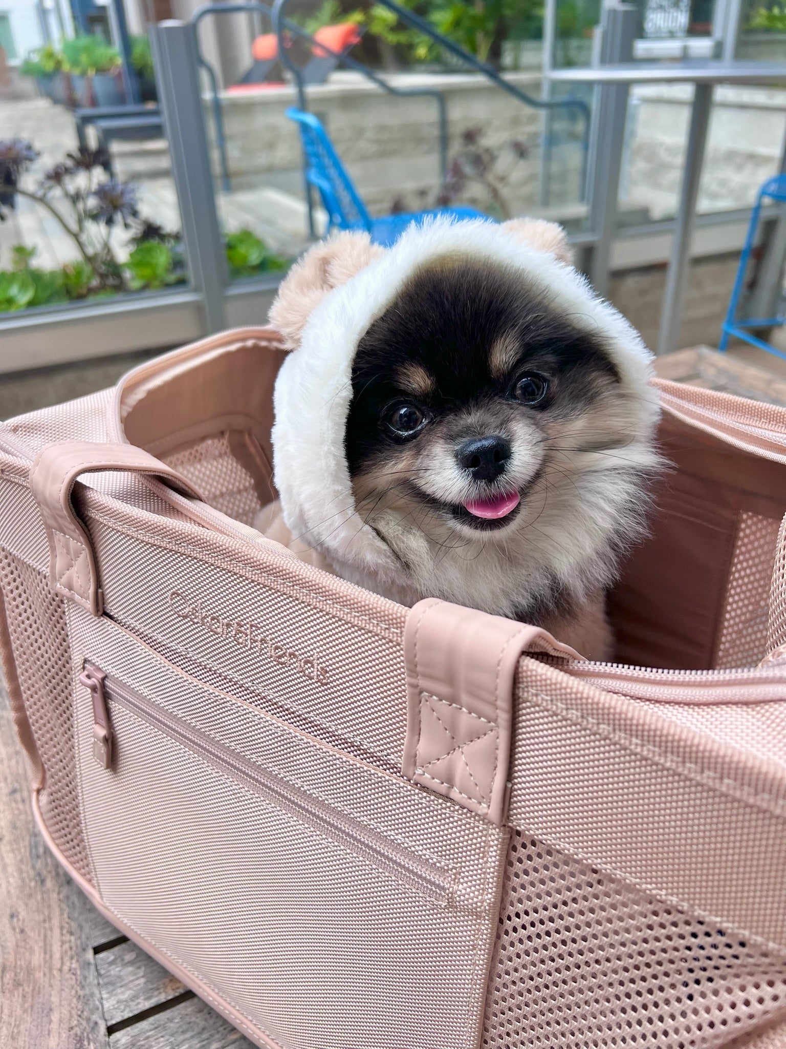 Carriers & Crates